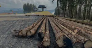 Groothandel hout plaat Timersma